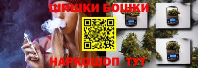 МДПВ Партизанск