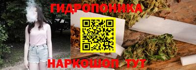 МДПВ Партизанск