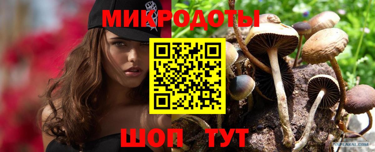 Галлюциногенные грибы Cubensis  Галлюциногенные грибы MAGIC MUSHROOMS  Вход с VPN  Ульяновск 